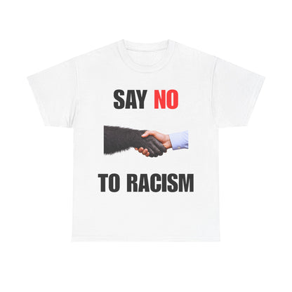 say no to racism