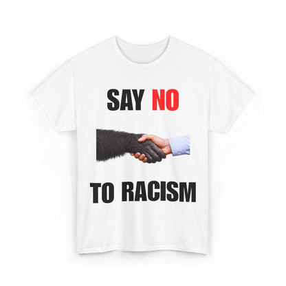 say no to racism
