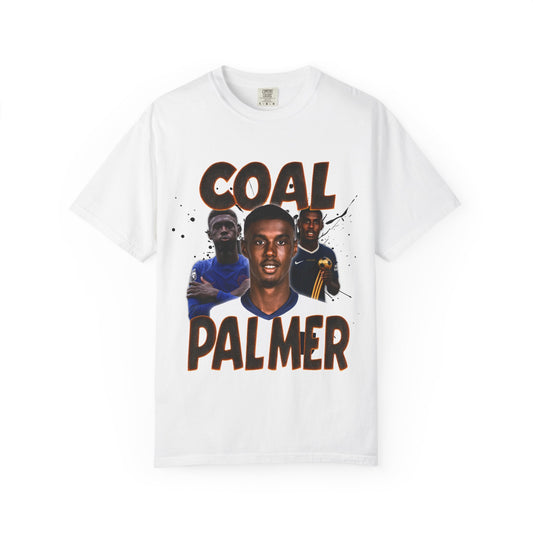 coal palmer